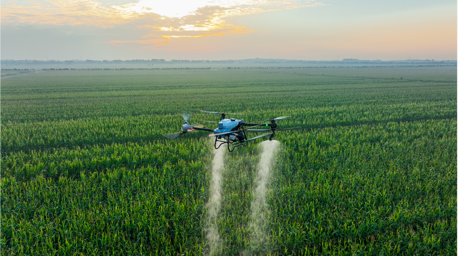 DJI Agras T50 Spray Drone - Image 3
